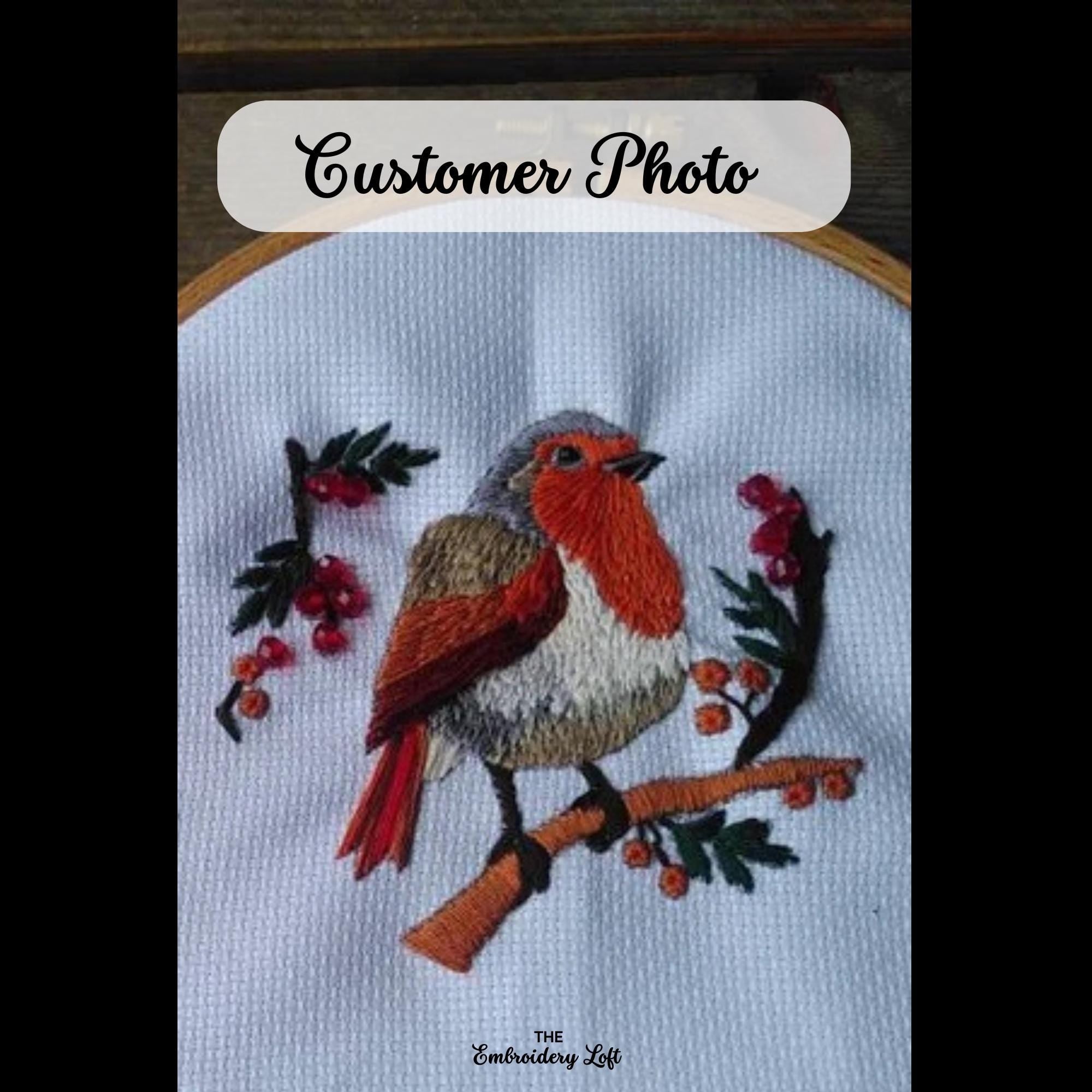 Winter Robin Hand Embroidery Pattern